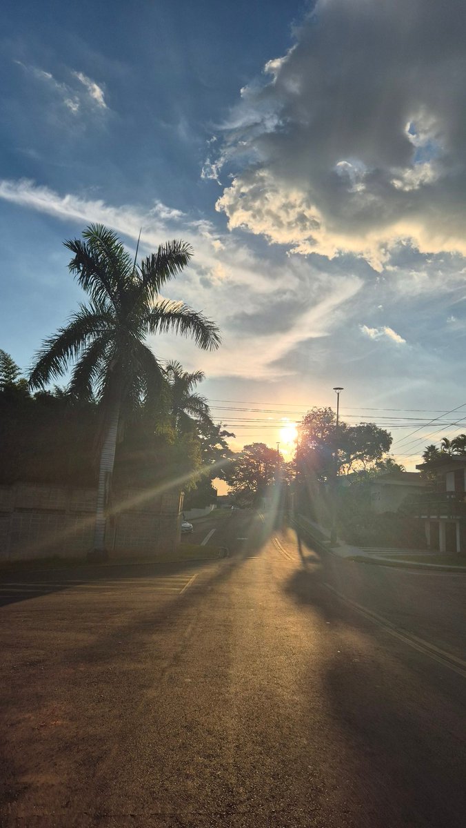 Rê ✨️ tweet media