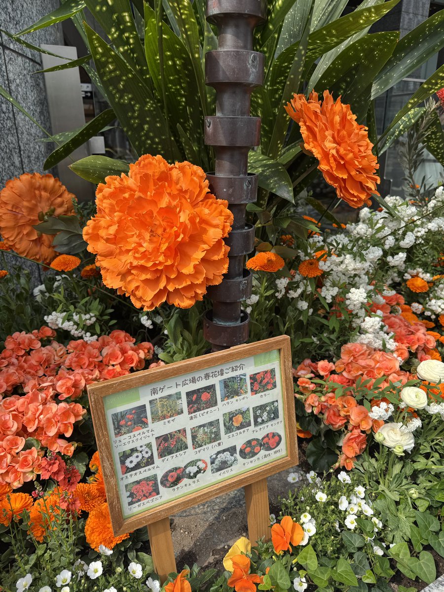 ✨When the Stars Collide ✨ tweet media