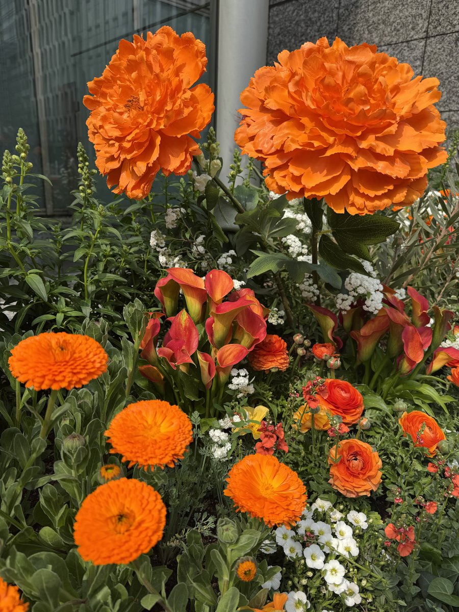 ✨When the Stars Collide ✨ tweet media