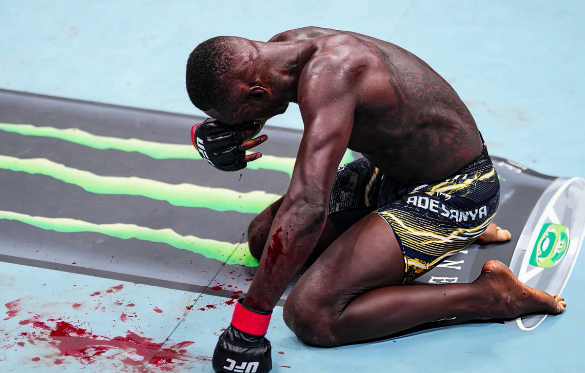 Home of Fight tweet media