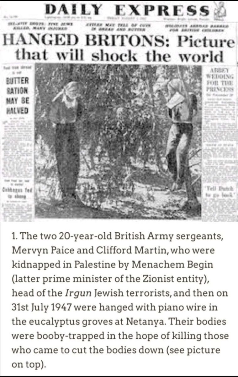 Snarlygog 🐏🐊 tweet media