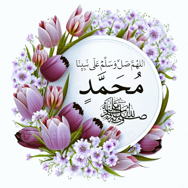 ana_a31000p5's tweet photo. اختم يومك بالصلاة علي النبي محمد ﷺ.  🌹 https://t.co/VoCCs99gao