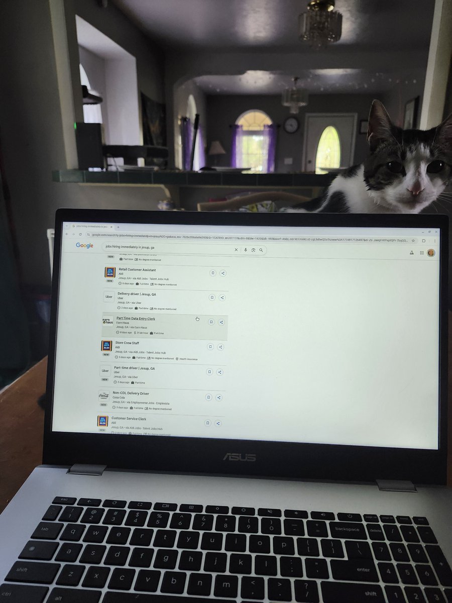 🐈 Ranae 🐈⬛ tweet media