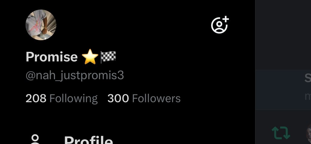 Promise ⭐️🏁 tweet media