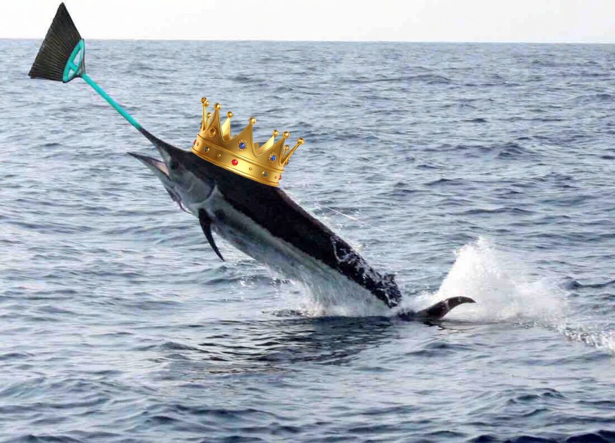 Mike Hunt tweet media