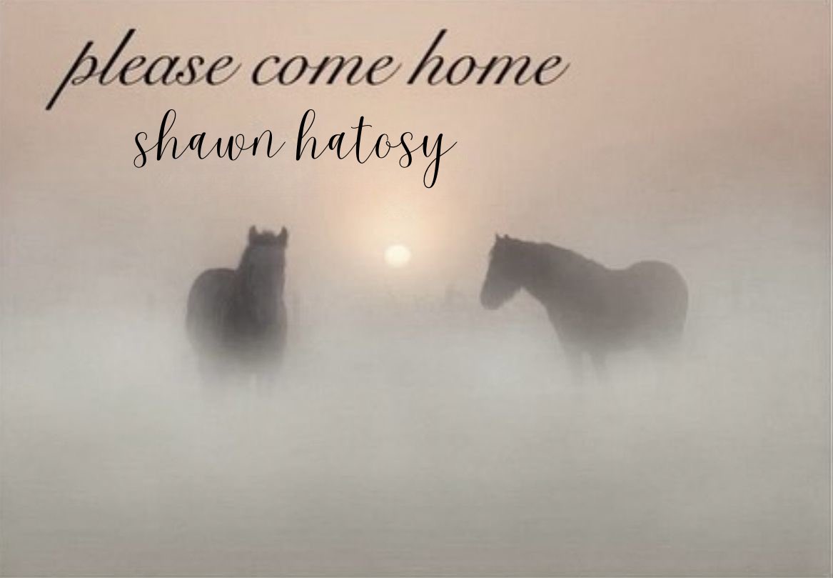 adi🐻 pitt spoilers tweet media