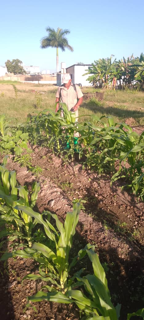 Cuando de ama nuestro trabajo, como se disfruta ver sus avances 
#MatancerosEnVictoria
#sisepuede