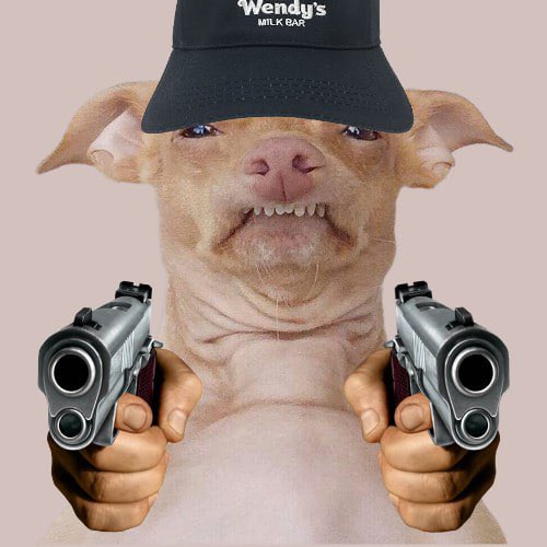 Phtevencoin tweet media