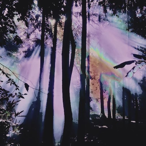 𓂃 ࣪ ˖ ִֶ ཐི༏ཋྀ󠀮ᅟ▌ᅟ𝕱 A͟ E 𝔅 E L L S tweet media