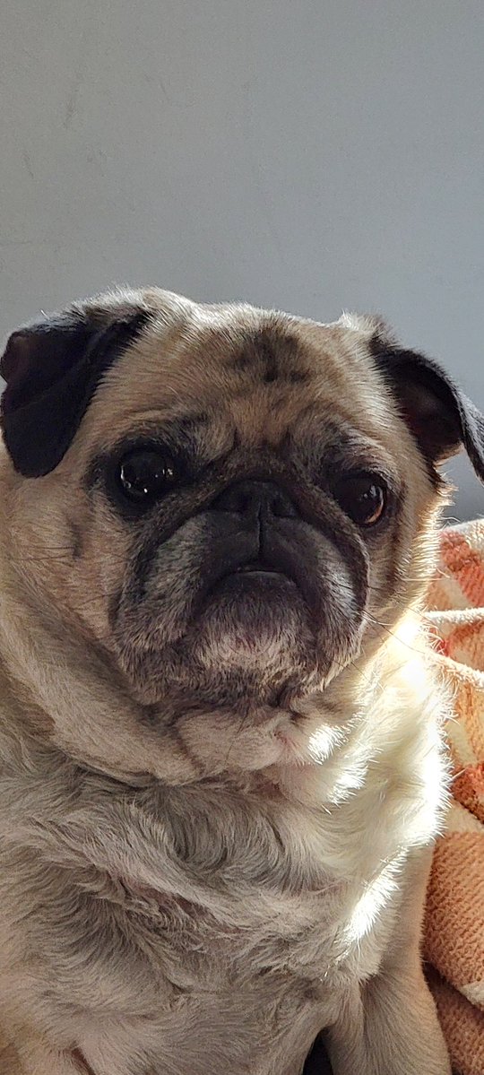 💗ANGELSARAH💗 S&O🍊 tweet media