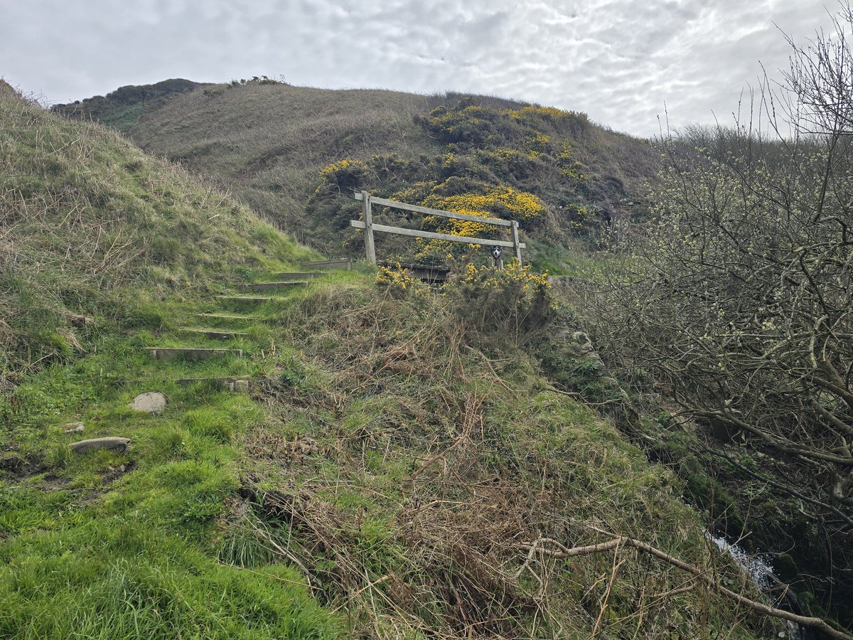 Toby_1000miles tweet media