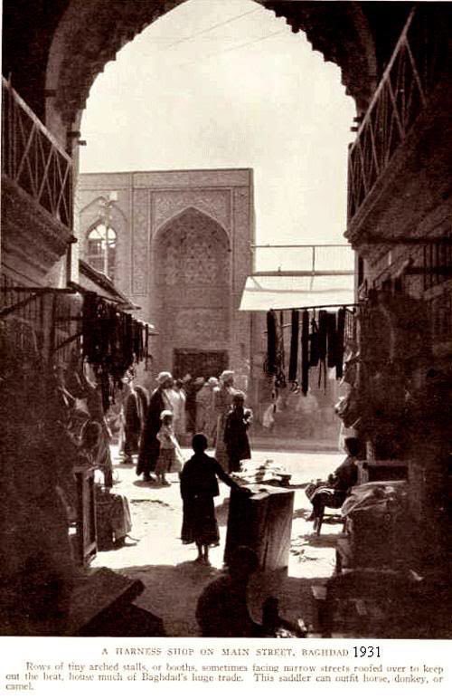 ₊˚⊹ Null ⋆.˚₊ ⊹ tweet media