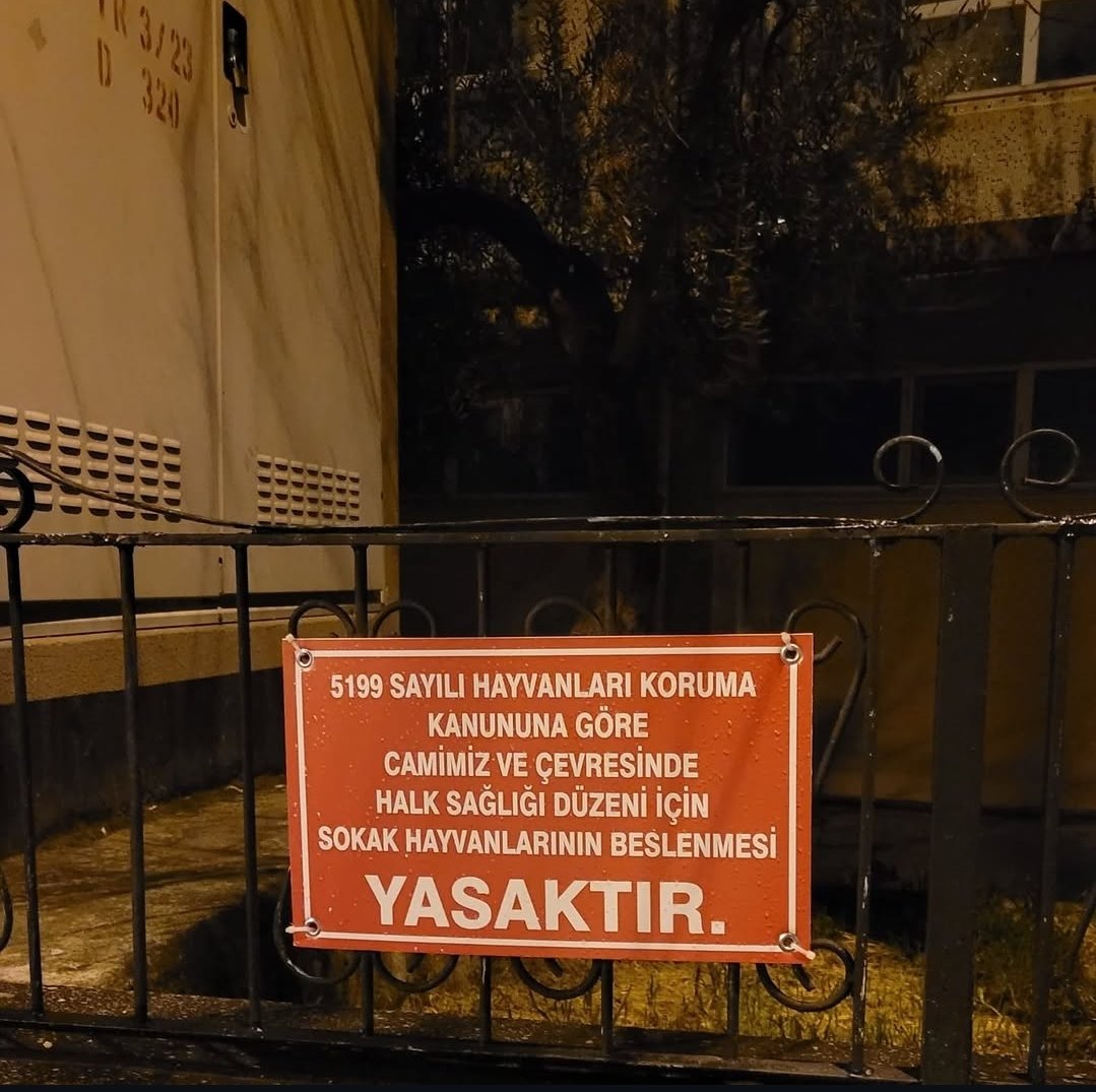 Başıboş Köpek Tehlikesi tweet media