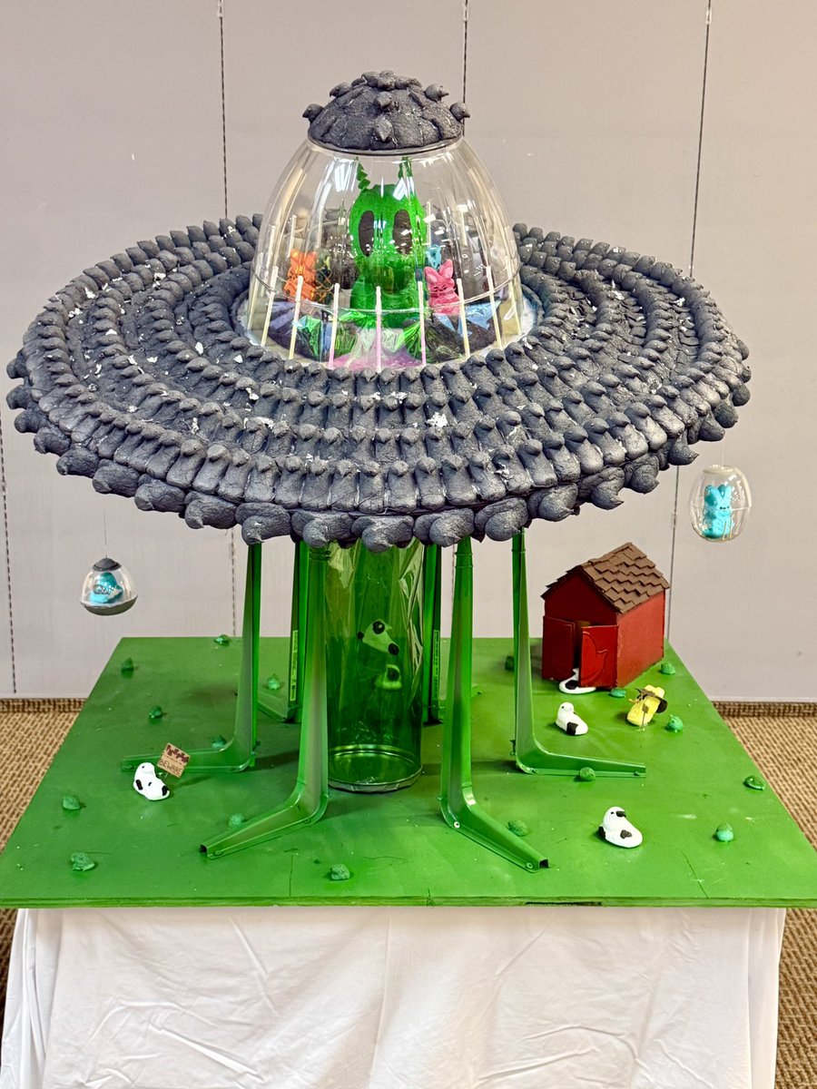 Susan Murray tweet media