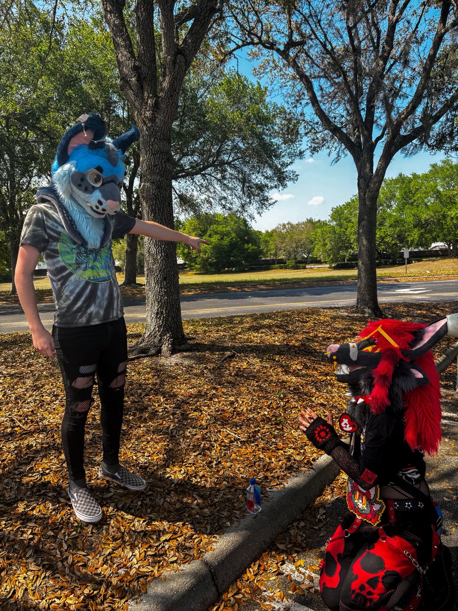 Mel 🦇 🐈‍⬛ tweet media