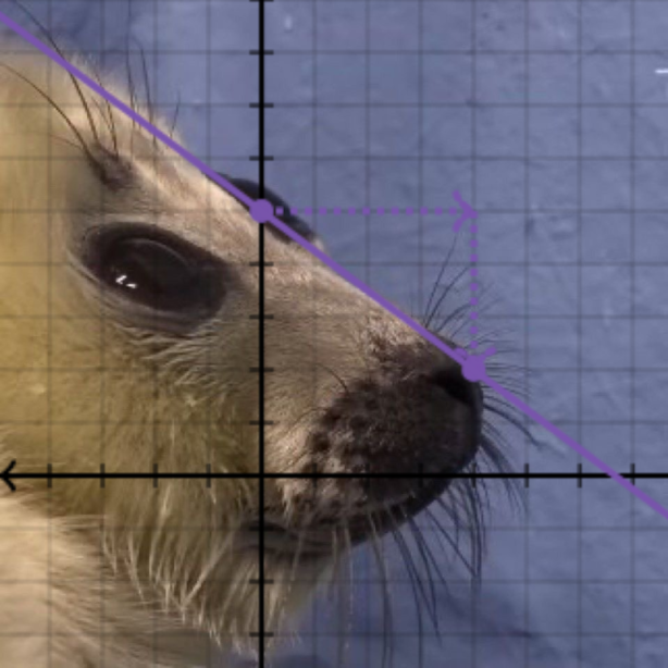 Val 🐜 tweet media