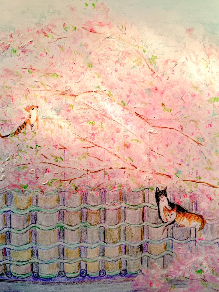 こころの輪 茶々丸 tweet media