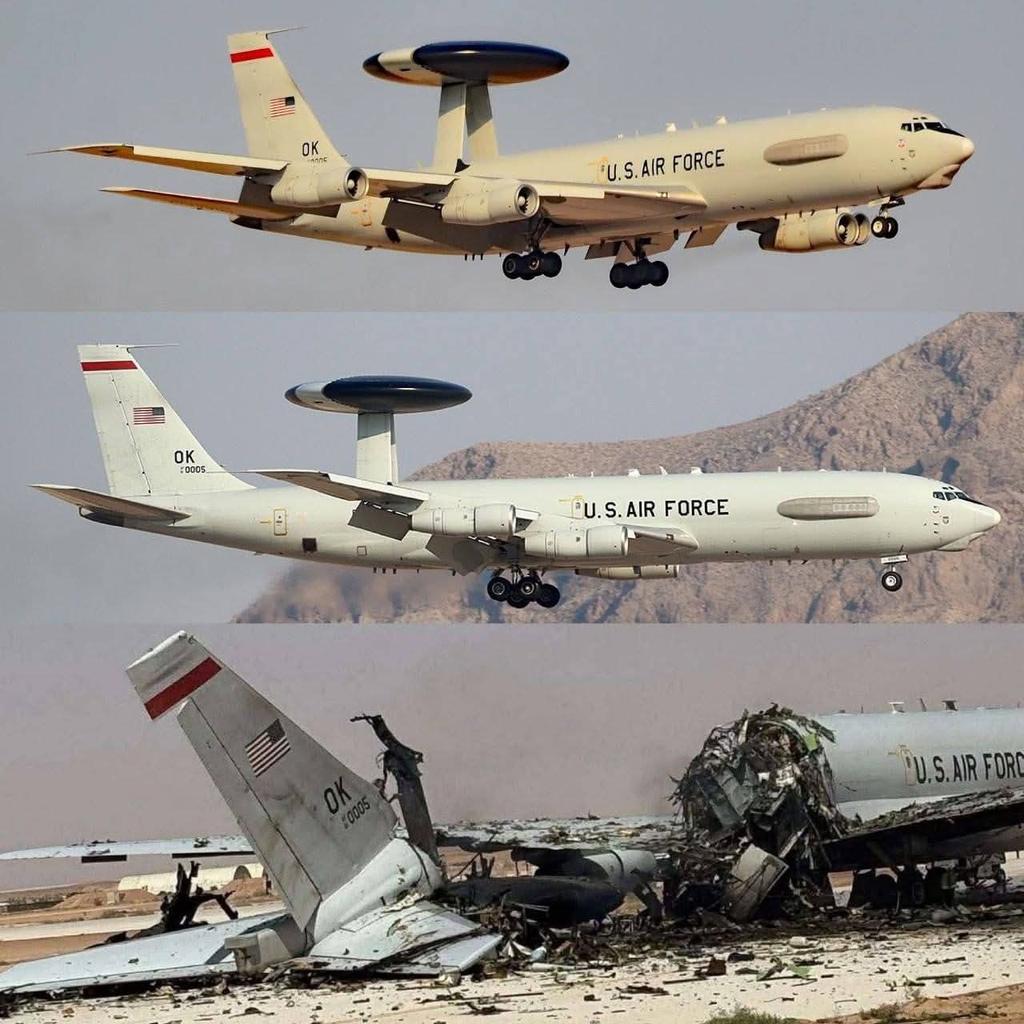 شبكة أخبار سوريا tweet media