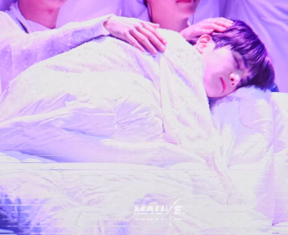 렌 🪻 tweet media