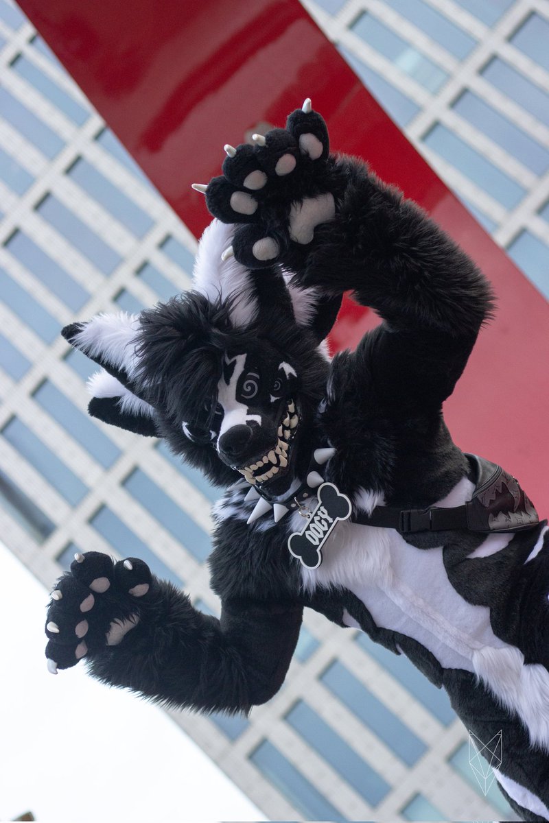 Oogy_In_Hell's tweet photo. Shout-out @WufferF for the amazing pics at NFC! https://t.co/qencN6gciF