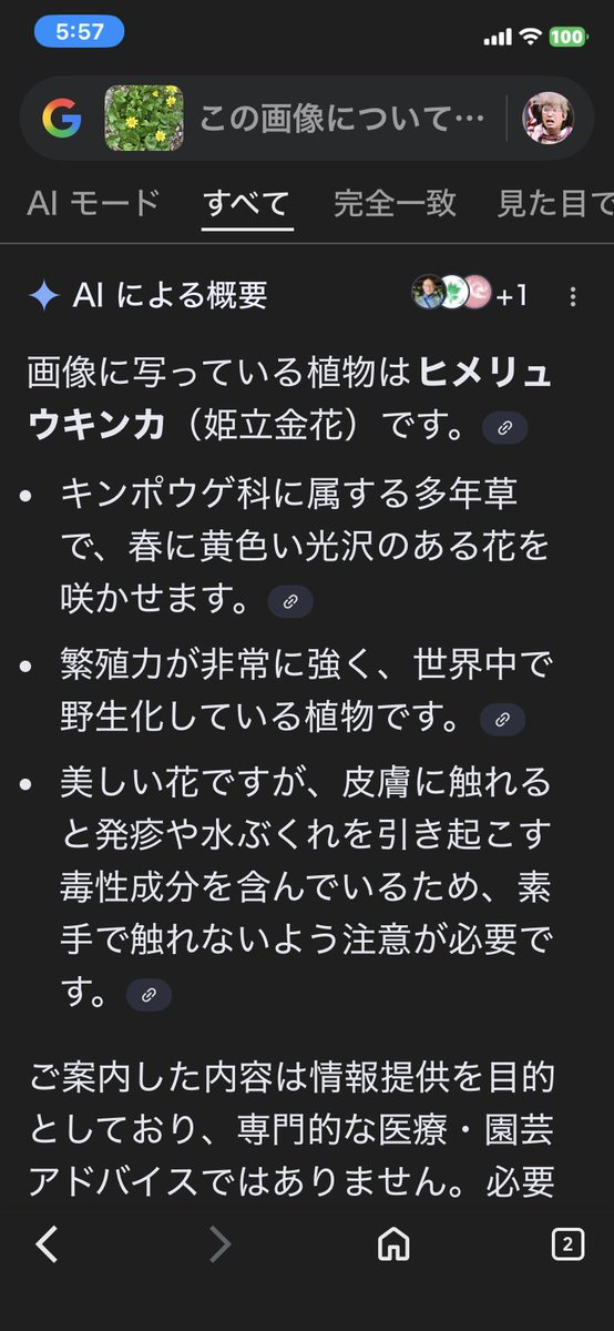 にょろ🐟🐇TEAM 愛知濱地会（バタピー担当） tweet media