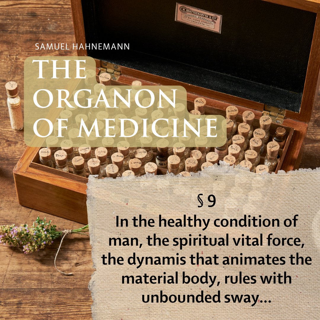 School of Homeopathy tweet media