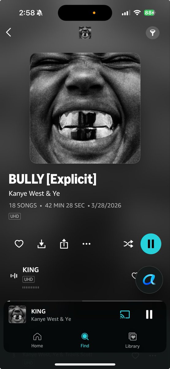 Big Bug (spring arc🌴💮🪷 春) tweet media