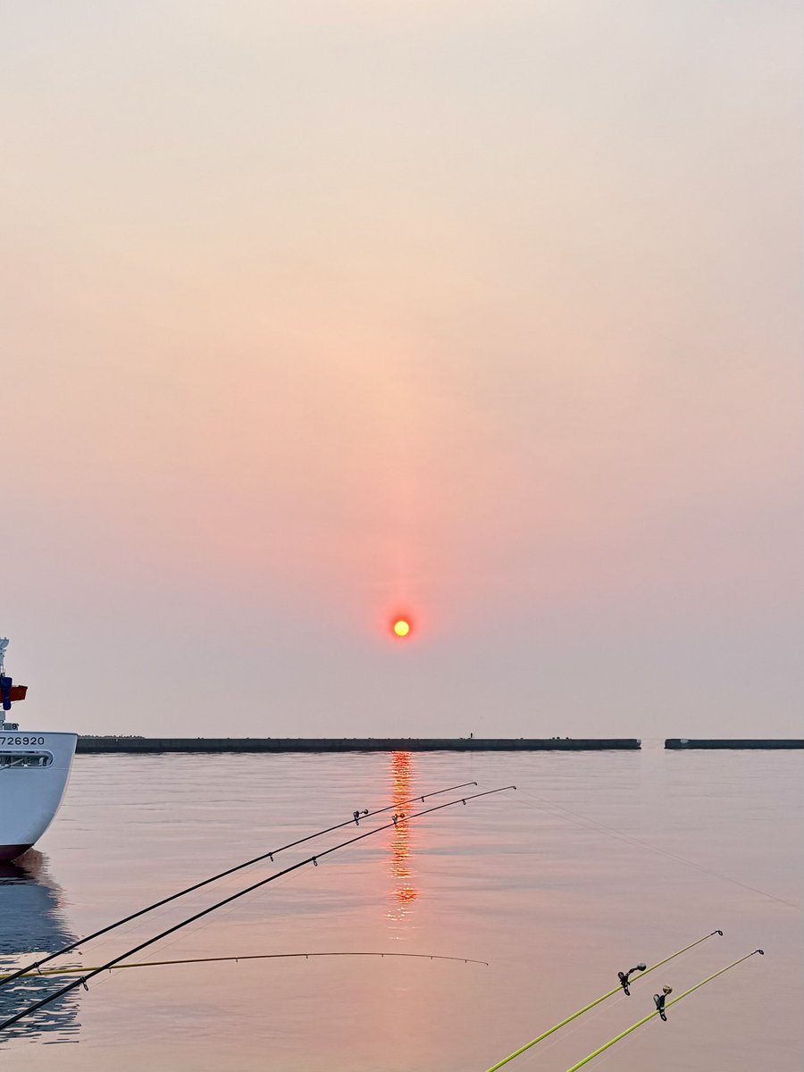 寅次郎 tweet media