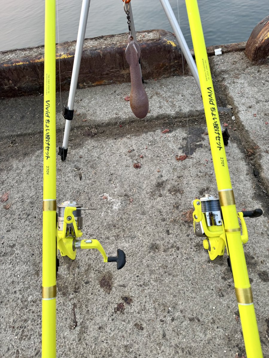 寅次郎 tweet media