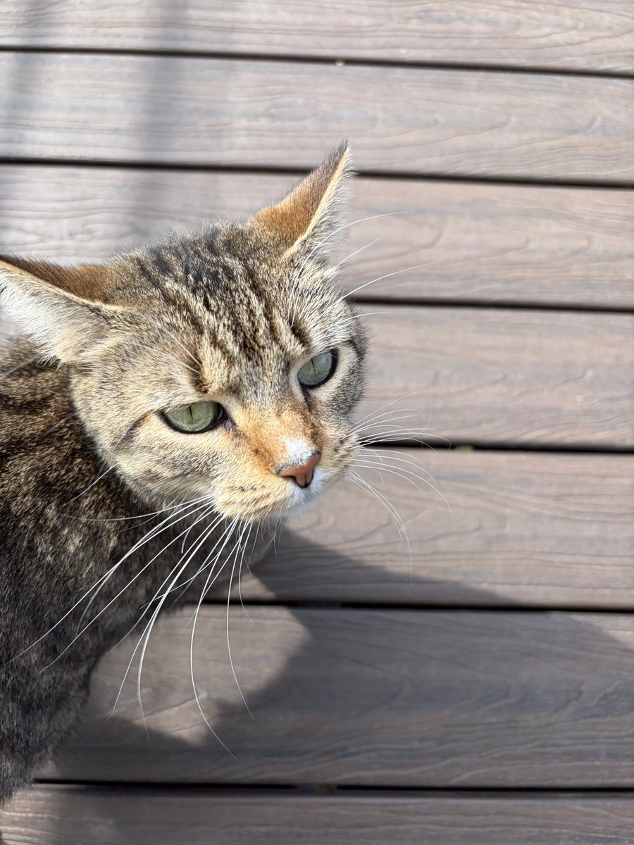 Kyooo ✨ tweet media