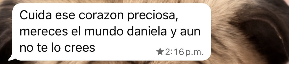 Daniela ☀️ tweet media