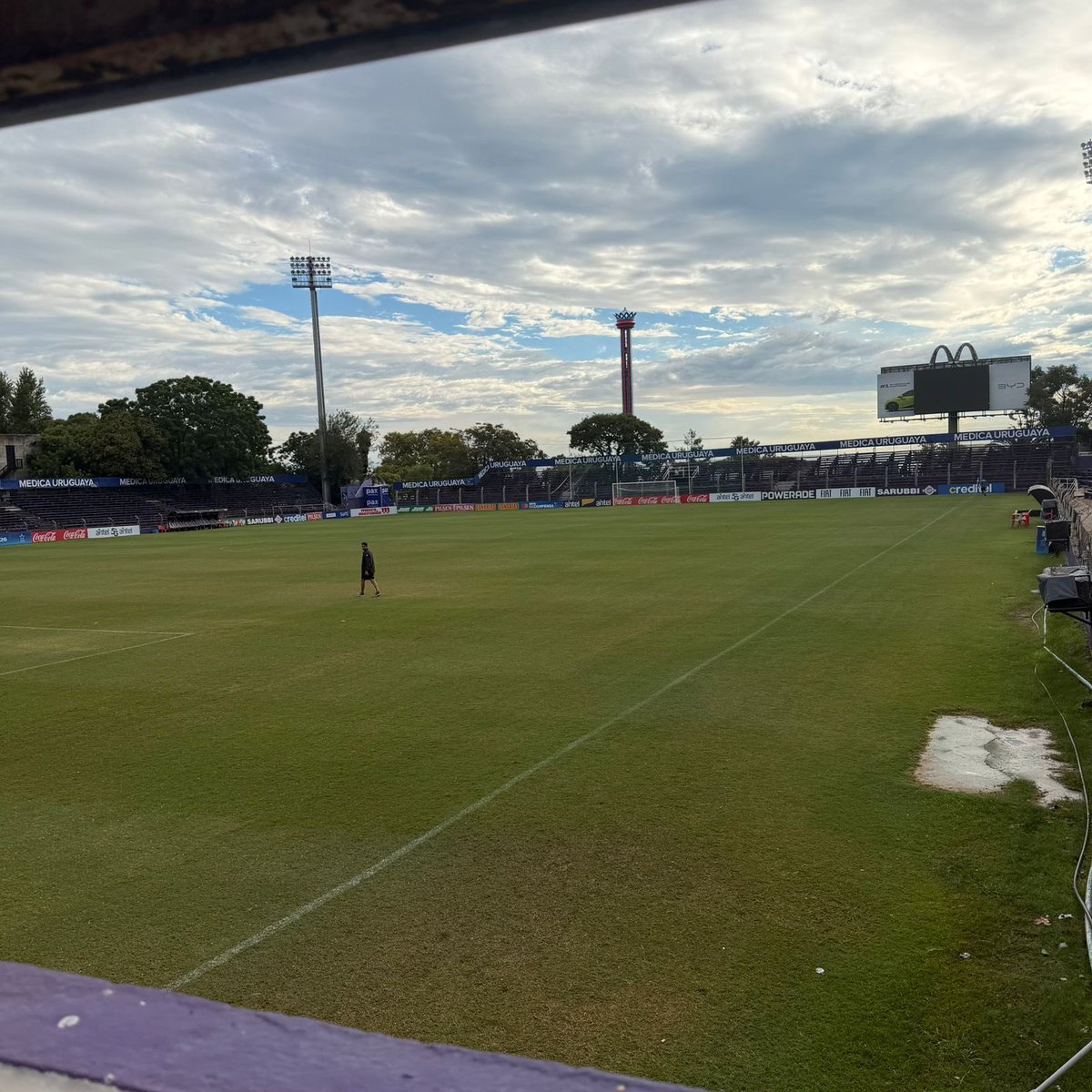 Nico Musetti tweet media