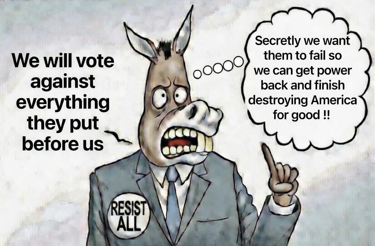 🇺🇸 tweet media