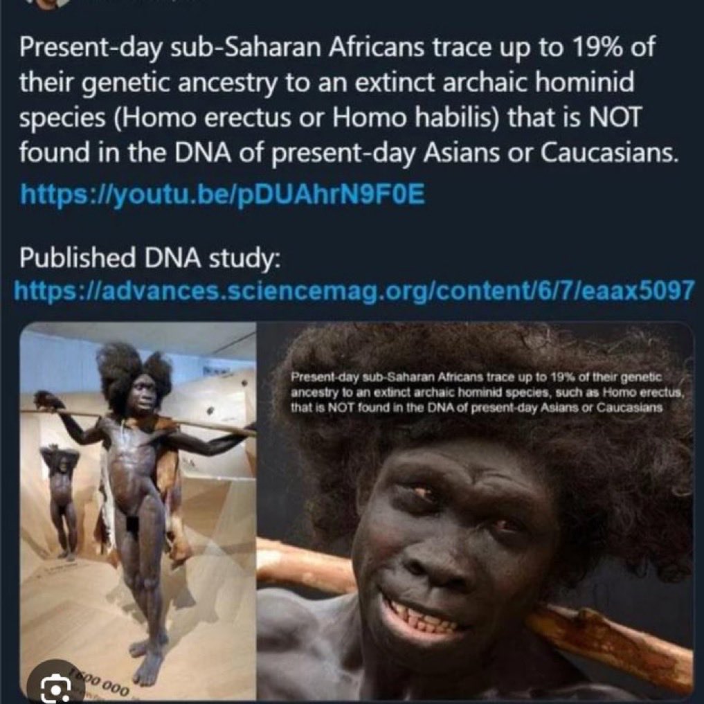 Dr. Peter Fitzenu OB/GYN tweet media