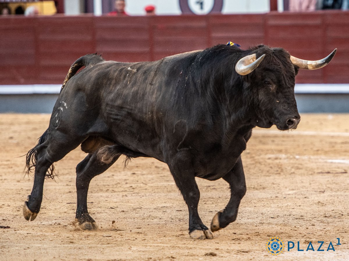 𝐉𝐨𝐫𝐠𝐞_𝐅𝐆 tweet media