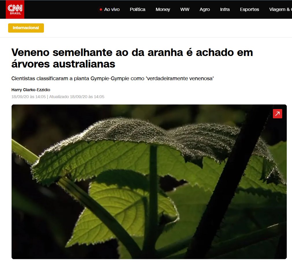 Leandro Toledo tweet media