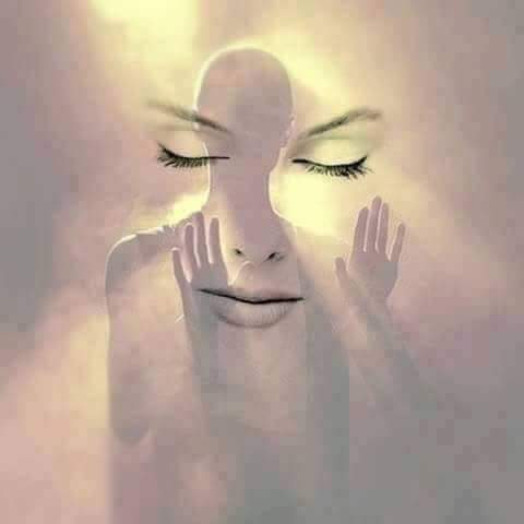 KOBRA CRNA tweet media