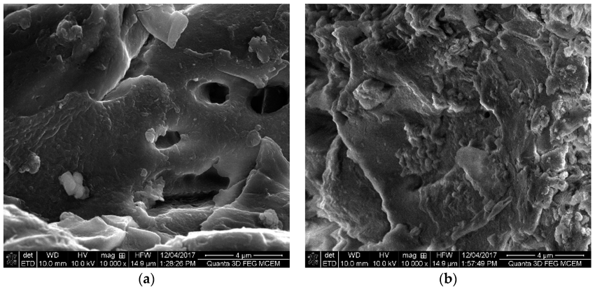 🔬🪨 VACA MUERTA NO SE ENTIENDE
SIN MIRAR HASTA EL ÚLTIMO DETALLE

Lo que estás viendo es roca…
pero no como te la imaginás.

Es una imagen de microscopio electrónico (MEB/SEM) donde aparecen micro y nanoporos dentro de la roca madre.

👉 Agujeros ultra pequeños, de micrones a