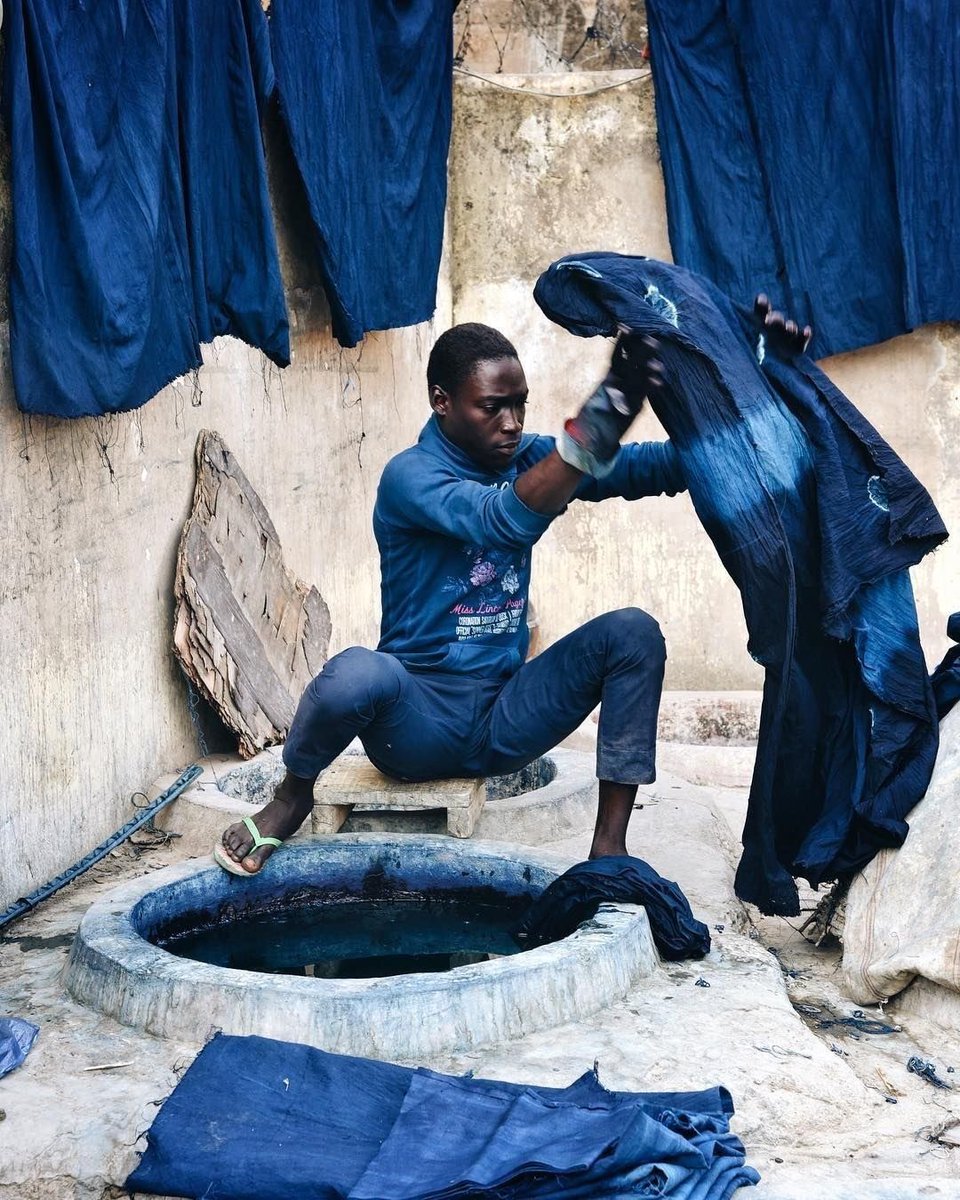 ciça pereira tweet media