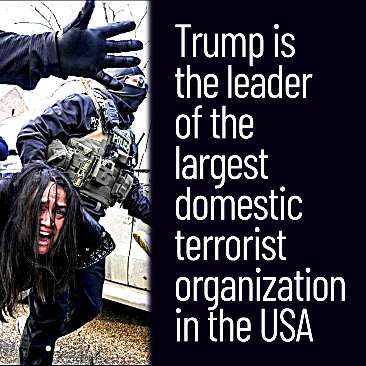 💙 Dr. MemeNstein votes 💙 BLUE 🇺🇸🦅 tweet media