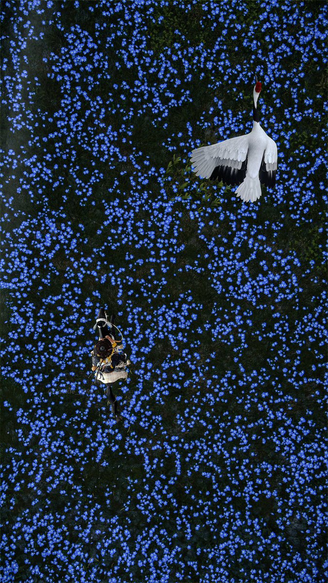 Yötei 📸 
(Vertical ↕️)

#GhostofYotei
<a href="/SuckerPunchProd/">Sucker Punch Productions</a>

#yotei #GhostOfYōtei
#vpgamers #vgpunite  #TheCapturedCollective #VirtualPhotography  #photomode #capturephotography  #videogamecapture