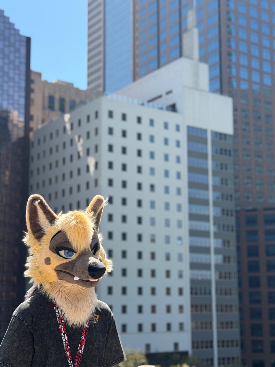 AlexShep tweet media