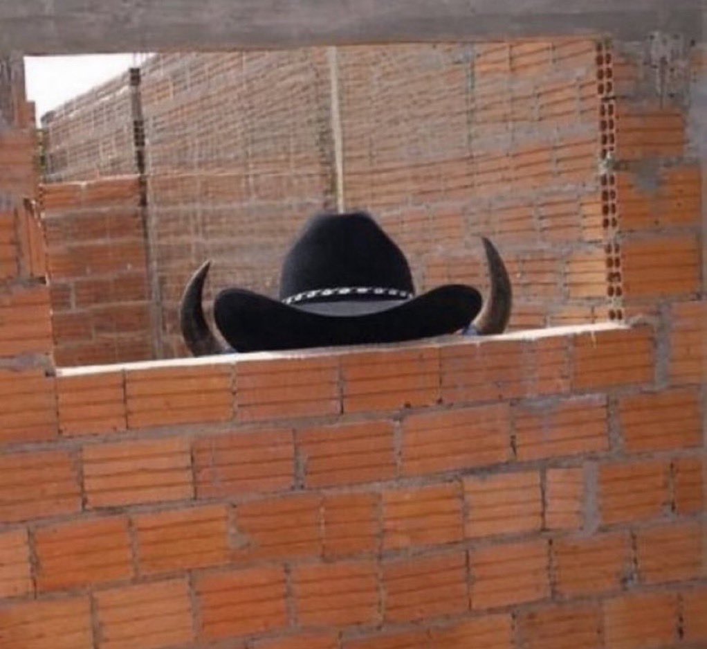 beatrizcoment's tweet photo. @Jordanarmorais @alice_comenta pode sair cowboy https://t.co/kzytl78yJa