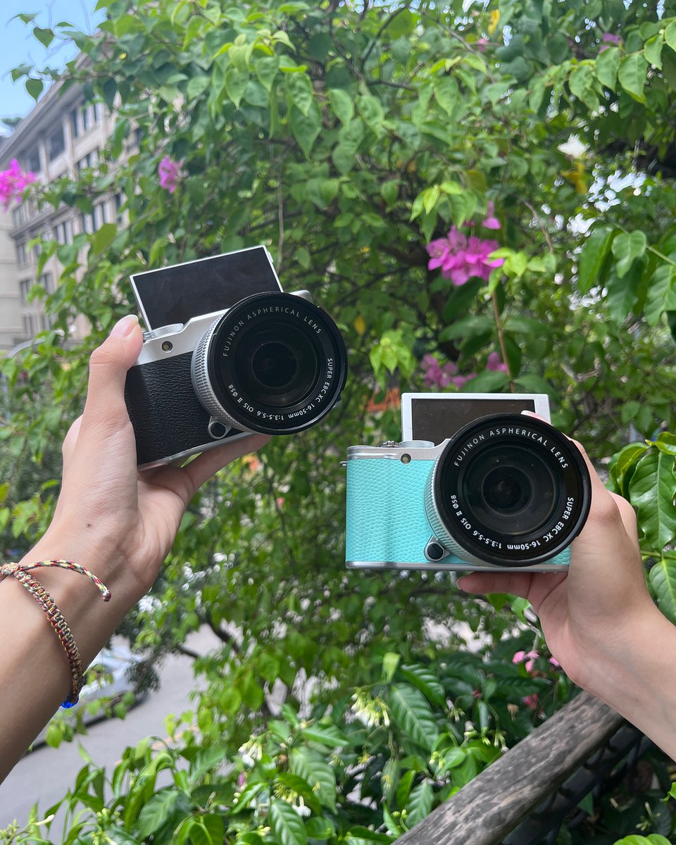 NFT Curator 🎨 tweet media