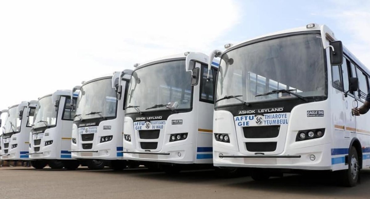 💙꧁𝔈𝔩~𝘗𝓲𝘉è~𝕵ℛ𓃵꧂❤️🦁🇸🇳 tweet media