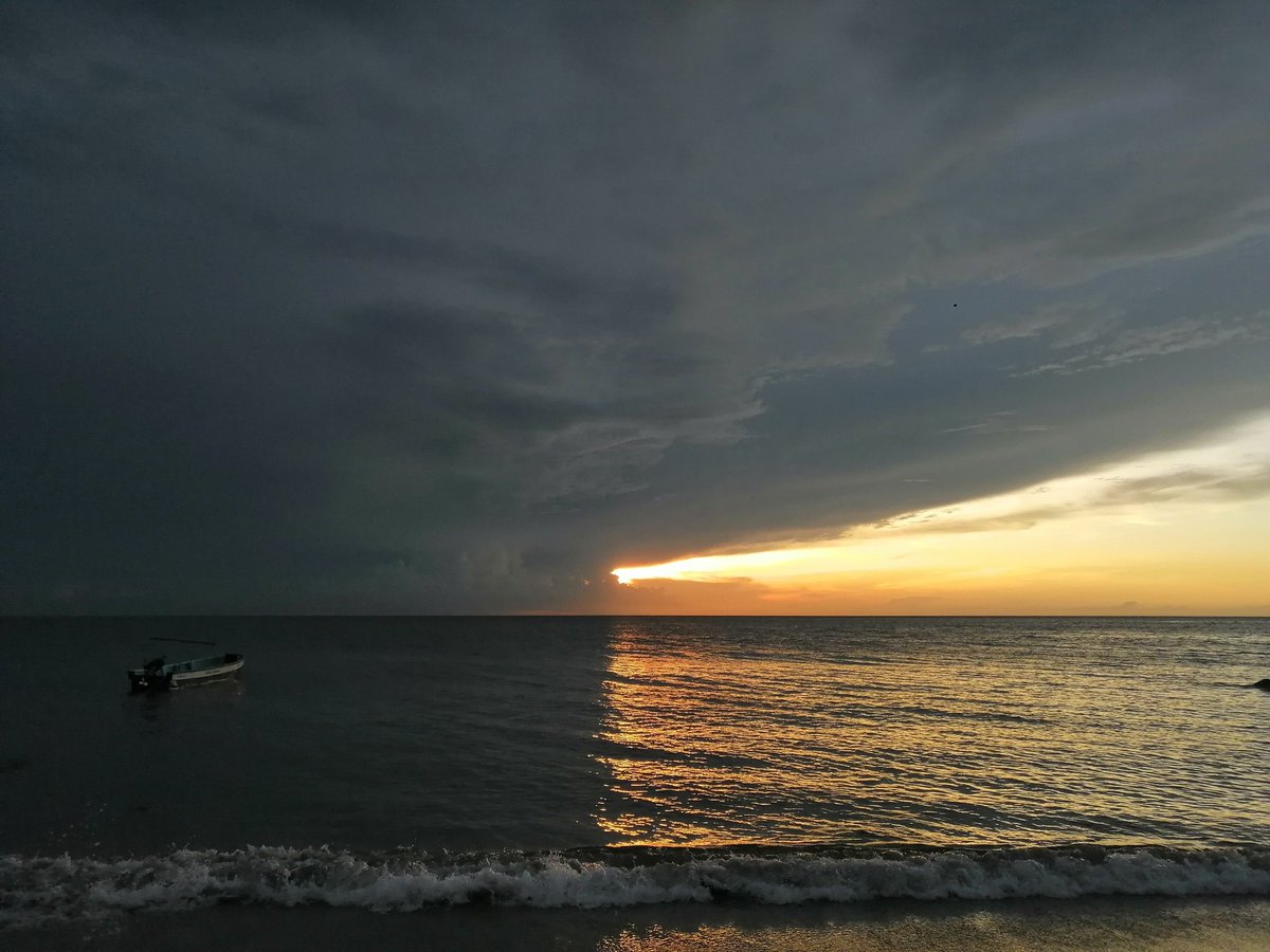 Víctor Muñoz tweet media