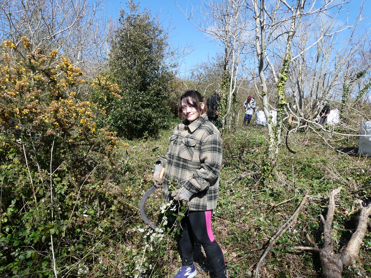 Guernsey Conservation Volunteers tweet media