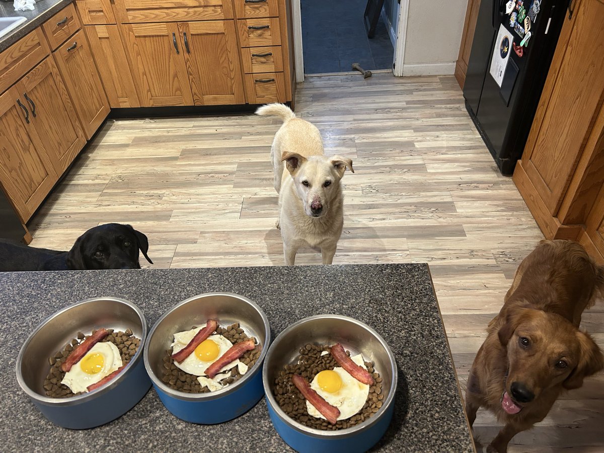 Spidly06 tweet media