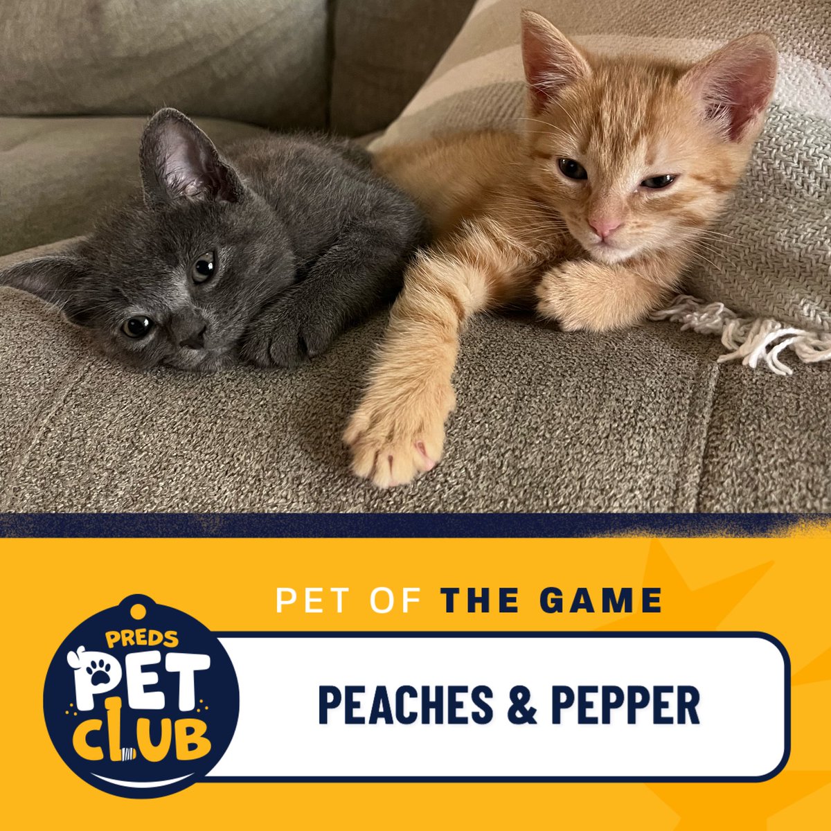 Nashville Predators Foundation tweet media