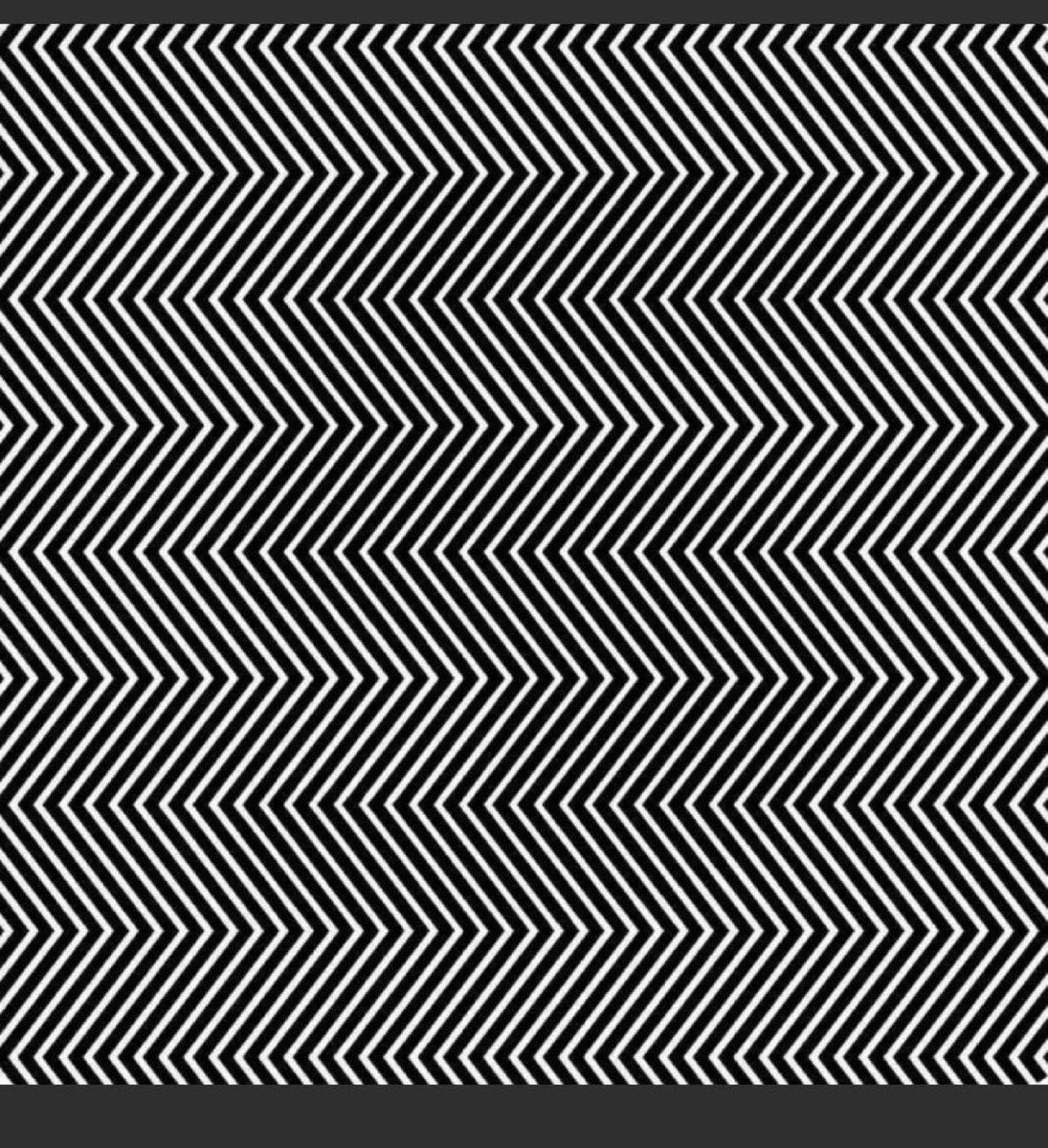 سقراط🌟 tweet media